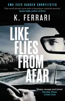 Wie Fliegen aus der Ferne - Like Flies from Afar