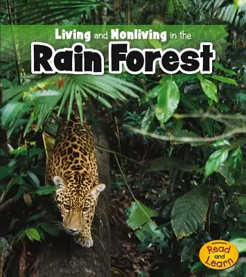 Život a neživot v dažďovom pralese - Living and Nonliving in the Rain Forest