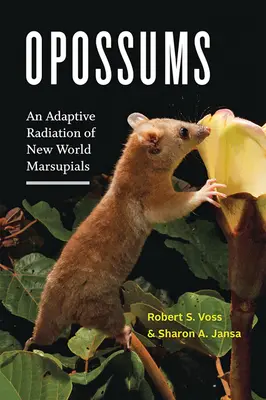 Opossums: Adaptívna radiácia vačkovcov Nového sveta - Opossums: An Adaptive Radiation of New World Marsupials