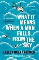 Čo to znamená, keď človek padá z neba - Od víťaza Caineovej ceny za africkú literatúru 2019 - What It Means When A Man Falls From The Sky - From the Winner of the Caine Prize for African Writing 2019