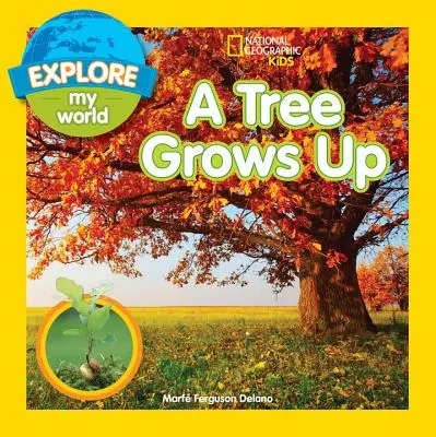 Preskúmajte môj svet: Strom vyrastá - Explore My World: A Tree Grows Up