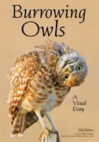 Svet sovy dlhochvostej: Fotografická esej skúmajúca ich správanie a krásu - The World of Burrowing Owls: A Photographic Essay Exploring Their Behaviors & Beauty