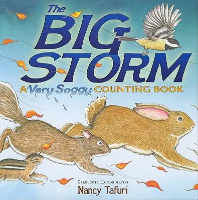 Veľká búrka: A Very Soggy Counting Book - The Big Storm: A Very Soggy Counting Book