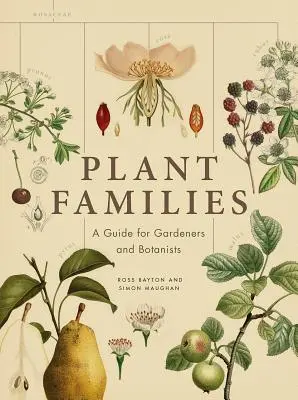 Rodiny rastlín: Príručka pre záhradkárov a botanikov - Plant Families: A Guide for Gardeners and Botanists