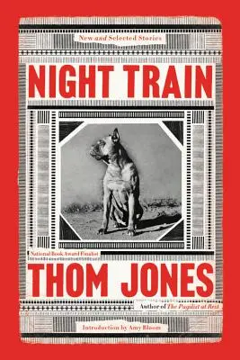 Nočný vlak: Nové a vybrané poviedky - Night Train: New and Selected Stories