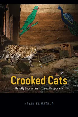 Krivé mačky: Šelmy v antropocéne - Crooked Cats: Beastly Encounters in the Anthropocene