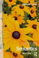 Pochopenie sémantiky - Understanding Semantics