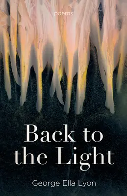 Späť na svetlo: Básne - Back to the Light: Poems