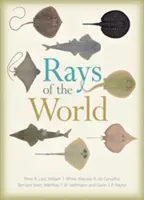 Lúče sveta - Rays of the World