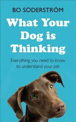 Čo si myslí váš pes - What Your Dog Is Thinking