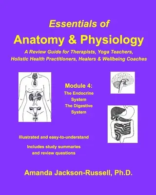 Základy anatómie a fyziológie - prehľadová príručka - modul 4 - Essentials of Anatomy and Physiology - A Review Guide - Module 4