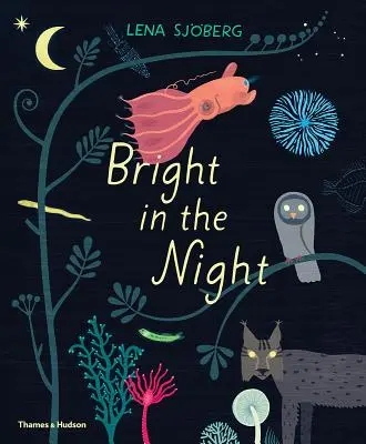 Jasná noc - Bright in the Night