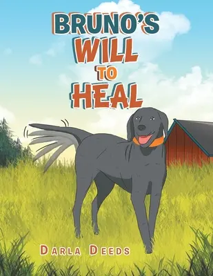 Brunova vôľa uzdraviť sa - Bruno's Will to Heal