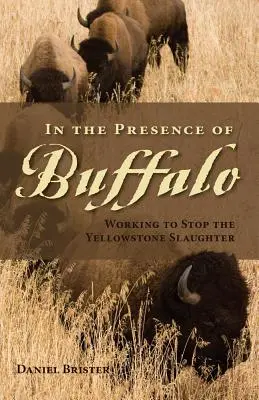 V prítomnosti Buffala: Snaha zastaviť vyvražďovanie v Yellowstone - In the Presence of Buffalo: Working to Stop the Yellowstone Slaughter