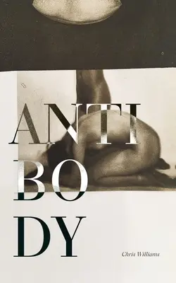 Protilátky - Antibody