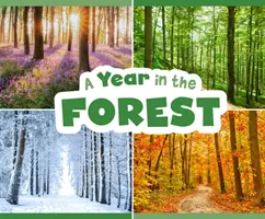 Rok v lese - Year in the Forest