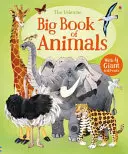 Veľká kniha o zvieratách - Big Book of Animals