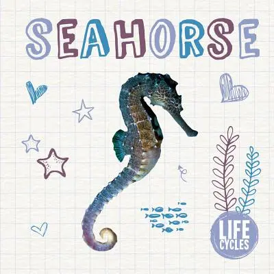 Morský koník - Seahorse