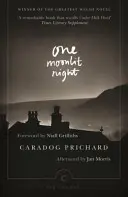 Jedna mesačná noc - One Moonlit Night