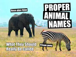 Správne názvy zvierat - ako by sa mali skutočne volať - Proper Animal Names - What They Should Really Be Called
