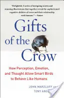 Dary vrany: Ako vnímanie, emócie a myslenie umožňujú inteligentným vtákom správať sa ako ľudia - Gifts of the Crow: How Perception, Emotion, and Thought Allow Smart Birds to Behave Like Humans