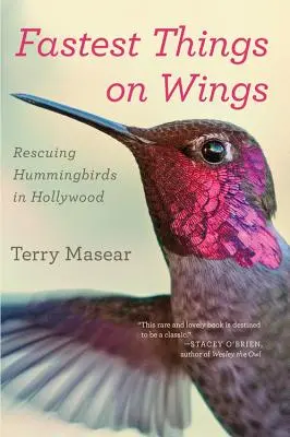 Najrýchlejšie veci na krídlach: Záchrana kolibríkov v Hollywoode - Fastest Things on Wings: Rescuing Hummingbirds in Hollywood