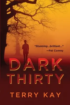 Temná tridsiatka - Dark Thirty