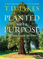 Zasadené s cieľom: Boh premieňa tlak na silu - Planted with a Purpose: God Turns Pressure Into Power