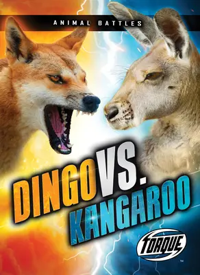 Dingo vs. klokan - Dingo vs. Kangaroo