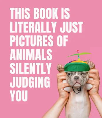 Táto kniha sú doslova len obrázky zvierat, ktoré vás mlčky posudzujú - This Book Is Literally Just Pictures of Animals Silently Judging You