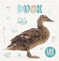 Kačica - Duck