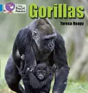 Gorily - Gorillas