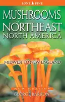 Huby severovýchodu Severnej Ameriky: Stredozápad až Nové Anglicko - Mushrooms of Northeast North America: Midwest to New England