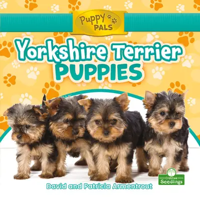 Šteniatka yorkshirského teriéra - Yorkshire Terrier Puppies