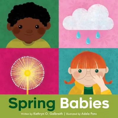 Jarné mláďatá - Spring Babies