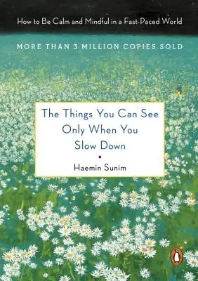 Veci, ktoré môžete vidieť, len keď spomalíte: Ako byť pokojný v uponáhľanom svete - The Things You Can See Only When You Slow Down: How to Be Calm in a Busy World