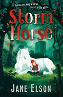 Búrkový kôň - Storm Horse