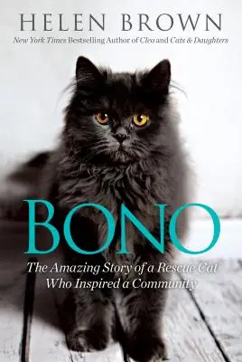 Bono: Úžasný príbeh záchrannej mačky, ktorá inšpirovala komunitu - Bono: The Amazing Story of a Rescue Cat Who Inspired a Community
