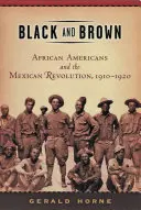 Čierna a hnedá: Hnedá a čierna: Afroameričania a mexická revolúcia v rokoch 1910 - 1920 - Black and Brown: African Americans and the Mexican Revolution, 1910-1920