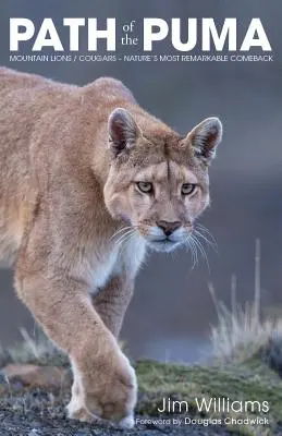 Cesta pumy: Pozoruhodná odolnosť horského leva - Path of the Puma: The Remarkable Resilience of the Mountain Lion