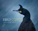 Fotograf vtákov roka - Bird Photographer of the Year
