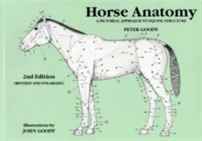 Anatómia koní: Anatómia koní: obrazový prístup k štruktúre koní - Horse Anatomy: A Pictorial Approach to Equine Structure