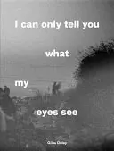 Môžem vám povedať len to, čo vidia moje oči: Fotografie z utečeneckej krízy - I Can Only Tell You What My Eyes See: Photographs from the Refugee Crisis