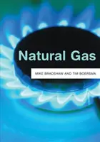 Prírodný plyn - Natural Gas