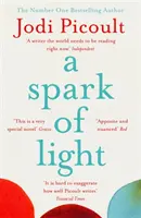 Iskra svetla - NUMBER ONE SUNDAY TIMES BESELLER - Spark of Light - THE NUMBER ONE SUNDAY TIMES BESTSELLER