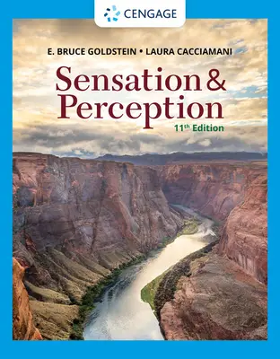 Pocity a vnímanie - Sensation and Perception