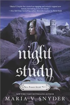 Nočná štúdia - Night Study