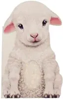 Chlpaté jahňa - Furry Lamb