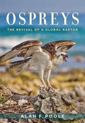 Rybáriky: Oživenie globálneho dravca - Ospreys: The Revival of a Global Raptor