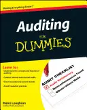 Audit pre hlupákov - Auditing for Dummies